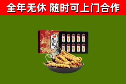 海淀区回收冬虫夏草价格